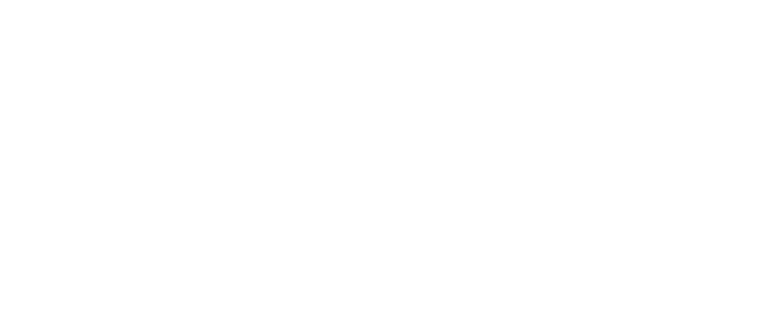 Selin Badge